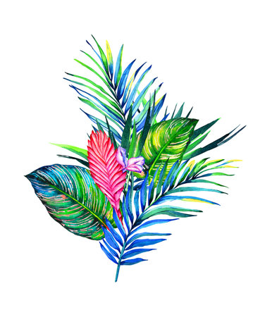 Tropical bouquet. Exotic flowers of bromelia, palm and calathea leaves. Handmade watercolor illustration of a rain forest foliage, isolated on white background. Floral composition for your design.の写真素材