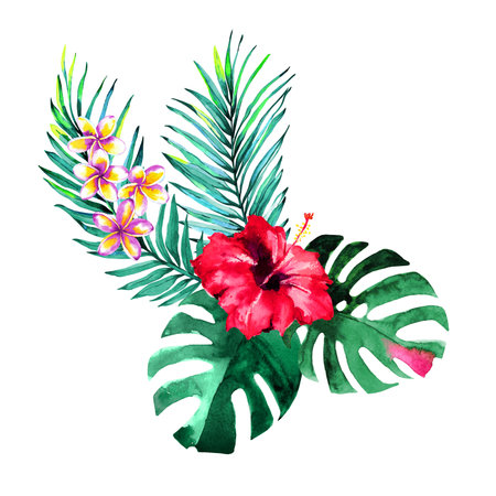 Tropical bouquet. Exotic flowers of hibiscus and plumeria, rain forest palm and monstera leaves. Handmade watercolor, isolated on white background. Floral composition for your design.の写真素材