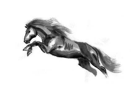 Sumi-e illustration of a leaping horse, moving to the left. Oriental ink painting, isolated on white background.の写真素材