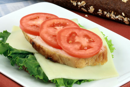 Fabulous turkey sandwich made with oven roasted turkey and organic vegetablesの写真素材