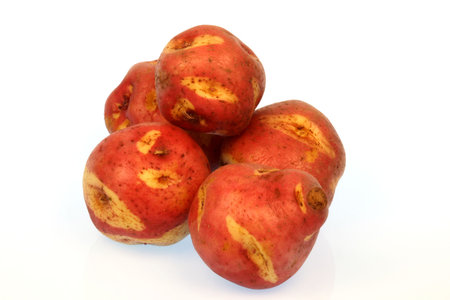 isolated organic golden purple  potatoes  on white background  の写真素材