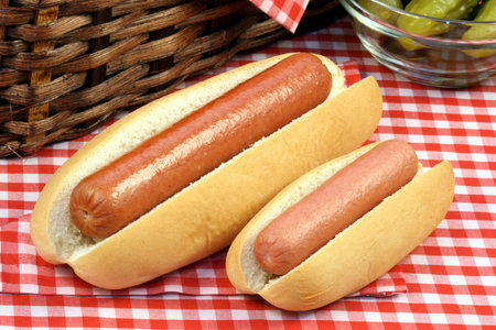 large and small hot dog on  picnic set  perfect for a family trip or an outdoors day の写真素材