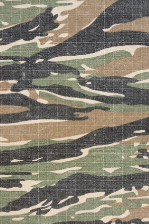 army vintage tiger stripe  military camuoflage fabric, background  style pattern, old used fabricの写真素材