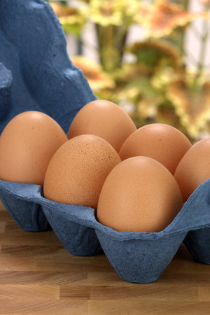 box of brown organic raw eggs, one of the most eated and used food or ingredient の写真素材
