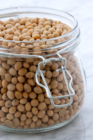 dry organic soybeans, on carrara marble countertop.