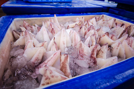 squid food from the seaの写真素材