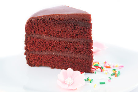 piece of chocolate cake with fudge sauce 