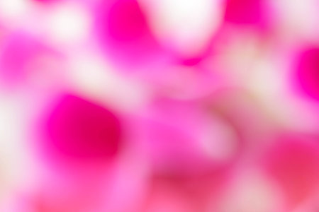 abstract pink background or texture with light.の写真素材