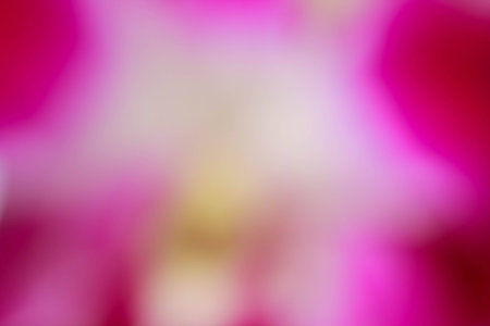 abstract pink background or texture with light.の写真素材