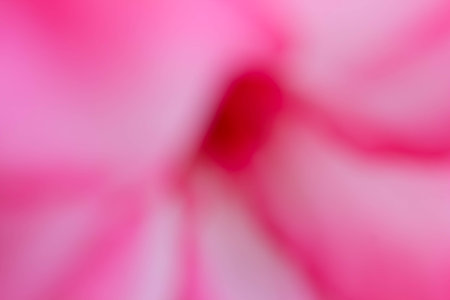 abstract pink background or texture with light.の写真素材
