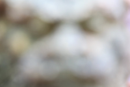 abstract gray background or texture with light.の写真素材