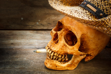 Skull with cigarette, and old wood background.の写真素材