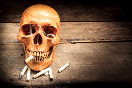Skull with cigarettes, and old wood background.の写真素材