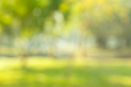 blur natural and light background in the park. blur natural and light background in the park.