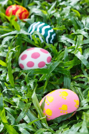 painted eggs in the garden, easter eggs.の写真素材