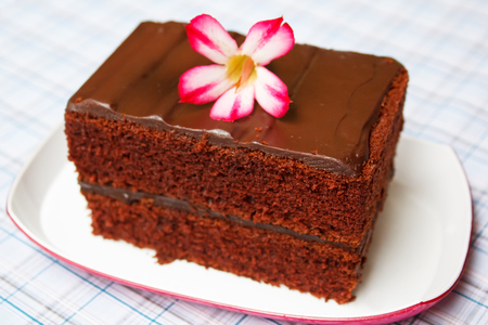 A piece of chocolate fudge cake.の写真素材