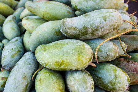 Mangifera indica, fresh mangos at a market in Thailand.の写真素材