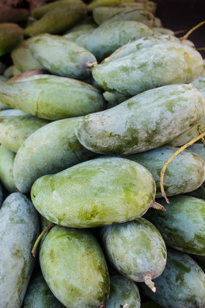 Mangifera indica, fresh mangos at a market in Thailand.の写真素材
