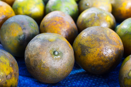Tangerine or Citrus reticulata blanco, in a market's Bangkok.の写真素材