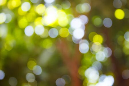 blur natural and light background in the park.の写真素材