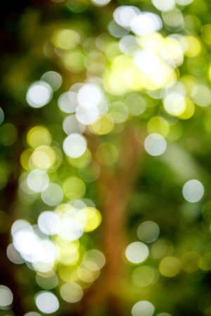 blur natural and light background in the park.の写真素材