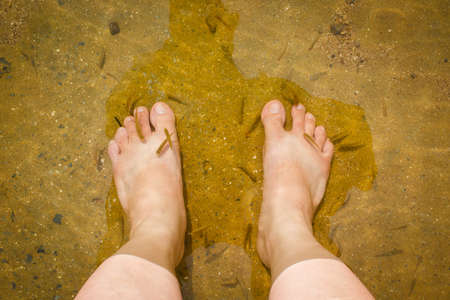 Natural fish spa therapy and foot massage.の写真素材