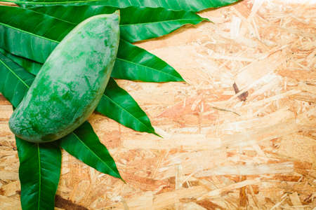 Mango and leaf on the wooden background.の写真素材