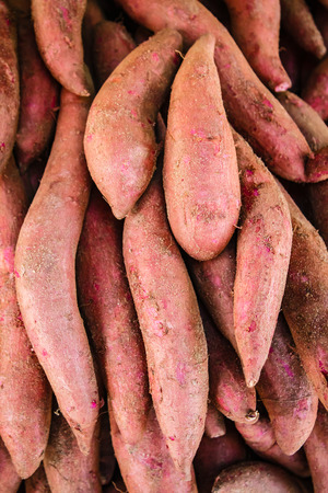Raw sweet potatoes, yams, sweet potato in the market.の写真素材