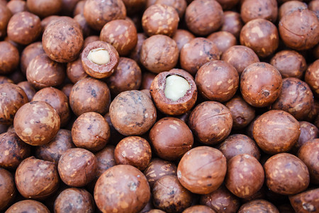 Shelled and unshelled macadamia nuts.の写真素材