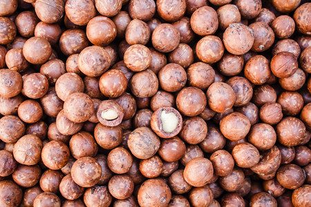 Shelled and unshelled macadamia nuts.の写真素材