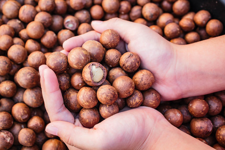 Shelled and unshelled macadamia nuts.の写真素材