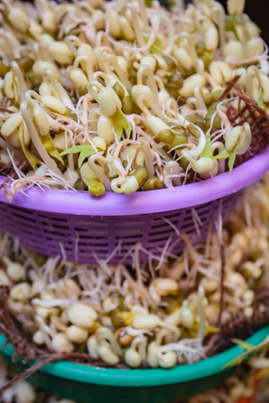 bean sprouts in basket at home, organic food.の写真素材