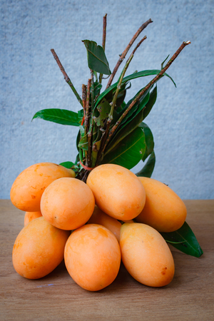 Fresh marian plum on wood background, Mayongchid Maprang, Asian fruit.の写真素材