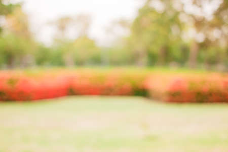 blur natural and light background in the park.の写真素材