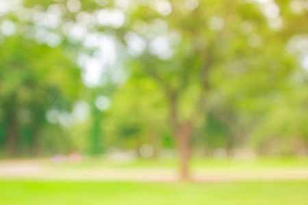 blur natural and light background in the park.の写真素材
