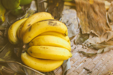 Raw organic bunch of bananas, Cavendish banana.の写真素材