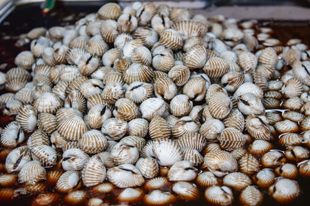Boiled cockles with tasty sauce, style thai food.
