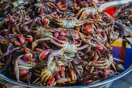 Crab in fish sauce at market street food in Bangkok.の写真素材