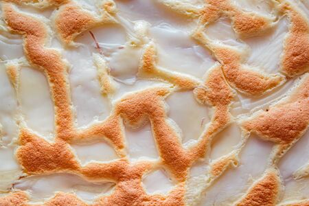 Homemade fresh coconut cake on tray at home.の写真素材