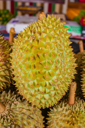 Durians for sale at fruit market in Bangkok.の写真素材