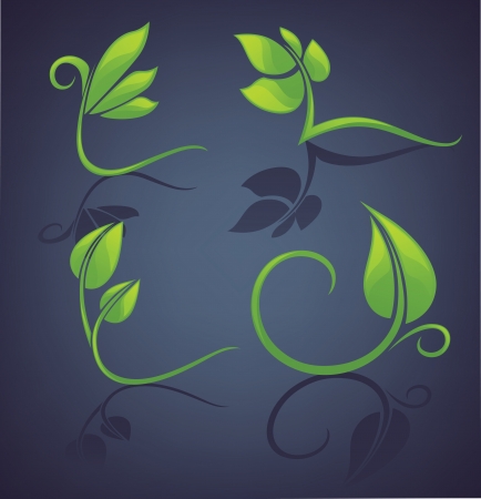 vector collection of decorative green leaves and framesのイラスト素材
