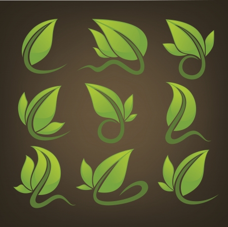 glossy leaves, signs and symbols on dark brown backgroundのイラスト素材