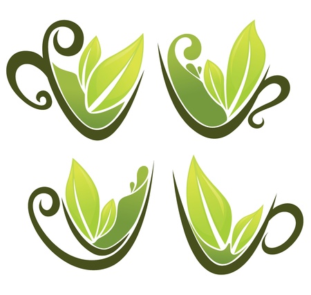 orgnic tea collectionのイラスト素材