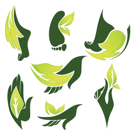 ciollection of nature symbols and signsのイラスト素材