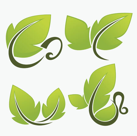 vector nature and organic symbolsのイラスト素材