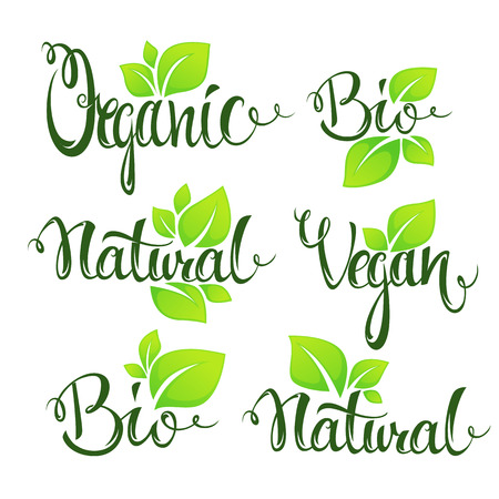organic, bio, natural and vegan lettering for your organic food and menu logoのイラスト素材