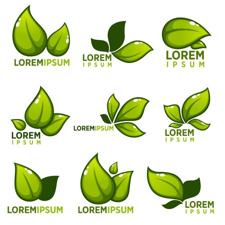 glossy leaves and plants empblems, icons and symbol for your ecological logoのイラスト素材