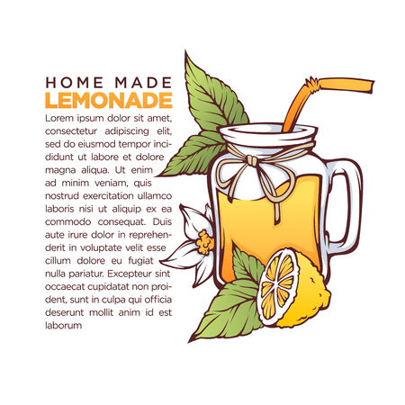 Home Made Lemonade, vector hand drawn illustration for your recipe bookのイラスト素材
