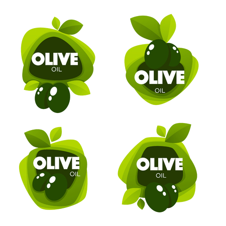 green olive leaves, lettering compositions and oil splashes , vector collection of logo templates, labels, symbolsのイラスト素材