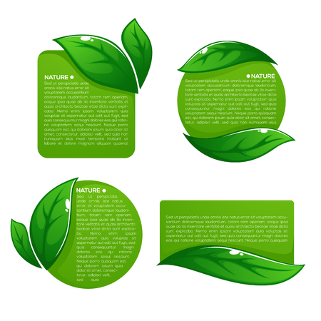 Nature tag templates collection of leaf labelsのイラスト素材